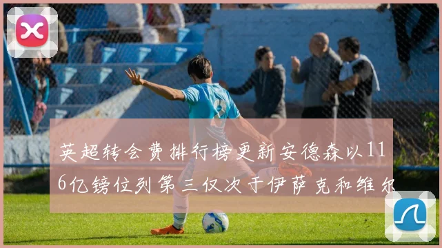 英超转会费排行榜更新安德森以116亿镑位列第三仅次于伊萨克和维尔茨