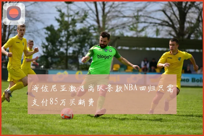 海佐尼亚激活离队条款NBA回归只需支付85万买断费