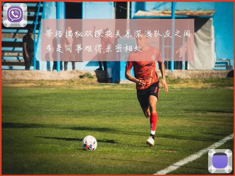 蒂格揭秘双探花关系深浅队友之间多是同事难得亲密相处